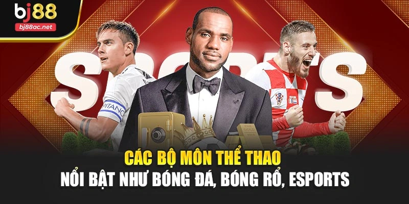 Các bộ môn thể thao nổi bật như bóng đá, bóng rổ, esports