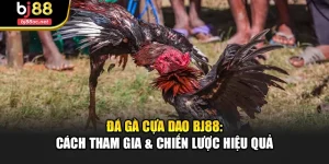 Đá Gà Cựa Dao Bj88: Cách Tham Gia & Chiến Lược Hiệu Quả