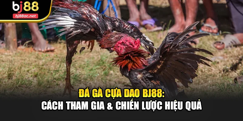 Đá Gà Cựa Dao Bj88: Cách Tham Gia & Chiến Lược Hiệu Quả