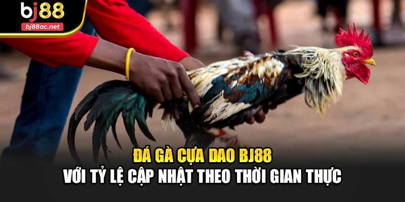 Đá gà cựa dao Bj88 với tỷ lệ cập nhật theo thời gian thực