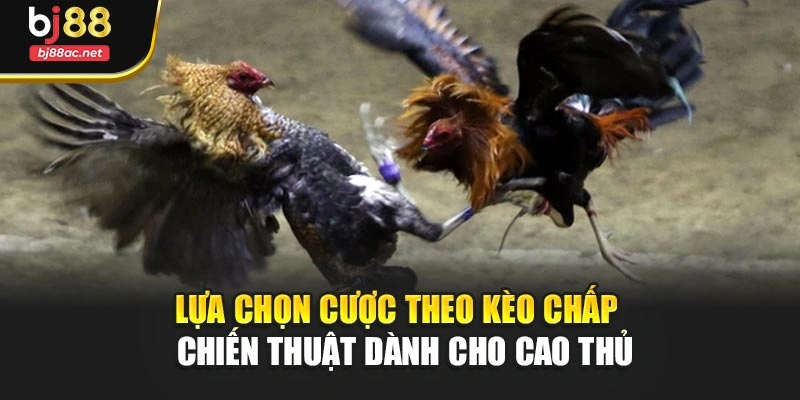 Lựa chọn cược theo kèo chấp – chiến thuật dành cho cao thủ