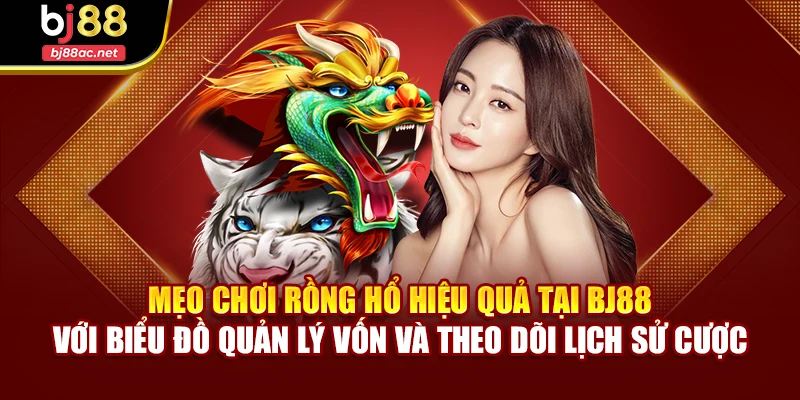 Mẹo chơi Rồng Hổ hiệu quả tại BJ88 với biểu đồ quản lý vốn và theo dõi lịch sử cược