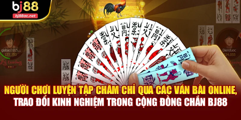 Người chơi luyện tập chăm chỉ qua các ván bài online, trao đổi kinh nghiệm trong cộng đồng Chắn BJ88