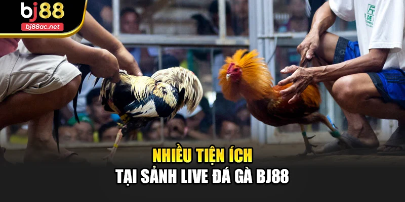 Nhiều tiện ích tại sảnh Live đá gà Bj88