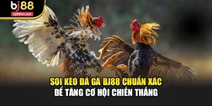 Soi Kèo Đá Gà Bj88 Chuẩn Xác Để Tăng Cơ Hội Chiến Thắng